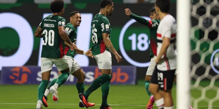 palmeiras