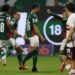 palmeiras