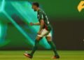 Palmeiras