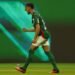 Palmeiras