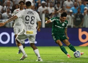 palmeiras santos