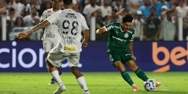 palmeiras santos