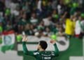 Palmeiras