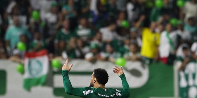 Palmeiras