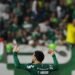 Palmeiras