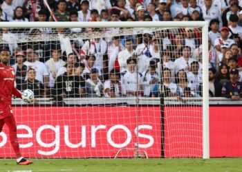 palmeiras