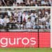 palmeiras