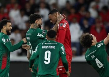 palmeiras