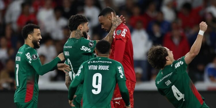 palmeiras