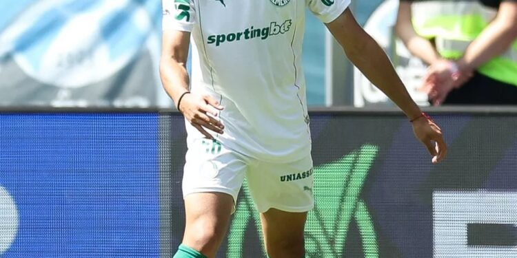 Palmeiras