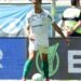 Palmeiras