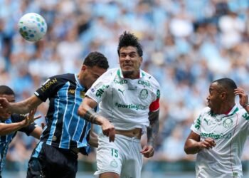 Palmeiras