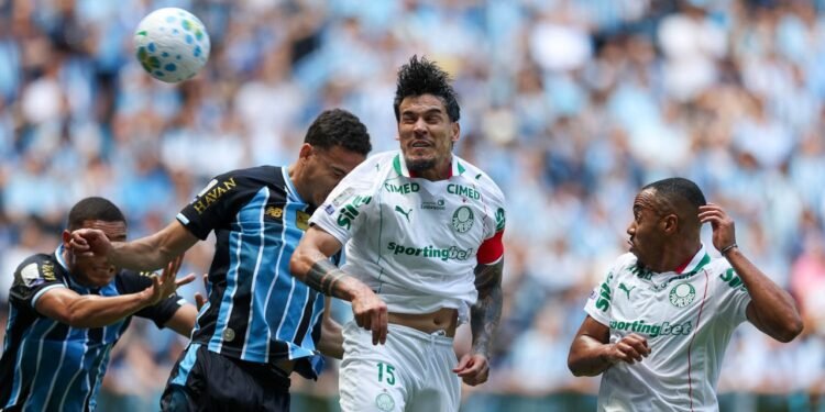 Palmeiras gomez