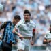 Palmeiras gomez