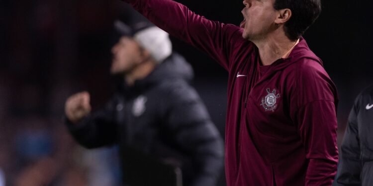 fernando diniz