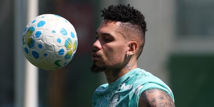 Palmeiras