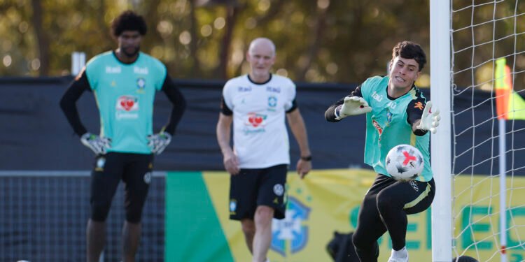 selecao brasileira hugo souza