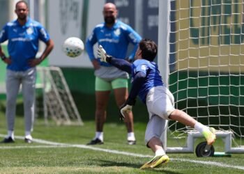 Palmeiras