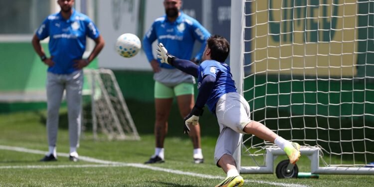 Palmeiras