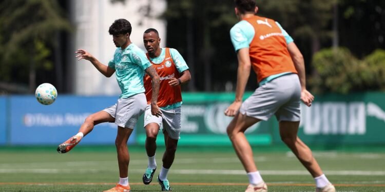 Palmeiras