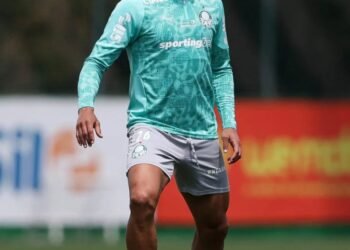 murilo palmeiras