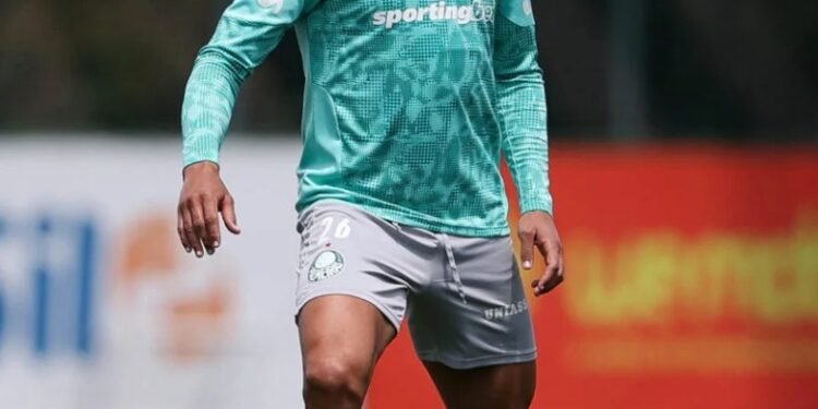 murilo palmeiras