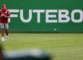 Palmeiras