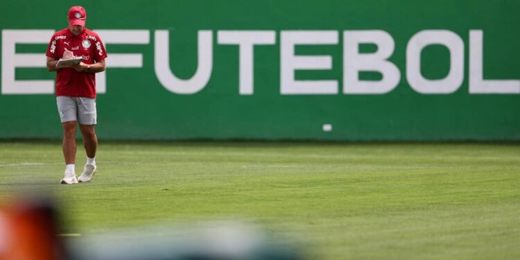 Palmeiras