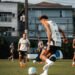 Santos coutinho