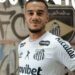 santos coutinho