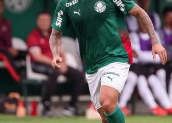 palmeiras