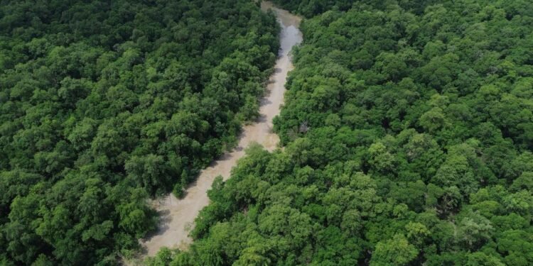 Cobra cenográfica de 30 metros representa a virada cultural na Amazônia. Foto: Bárbara Vale/ Divulgação