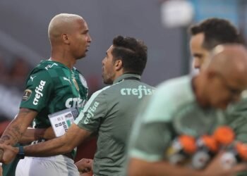 palmeiras