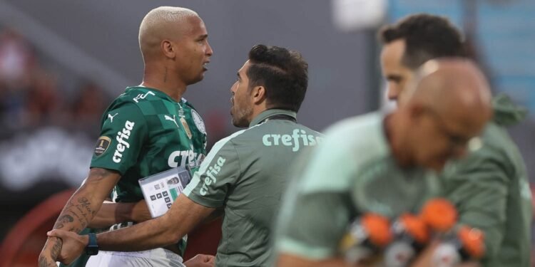 palmeiras