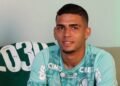 Palmeiras