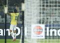 brasil selecao brasileira
