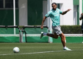 Palmeiras