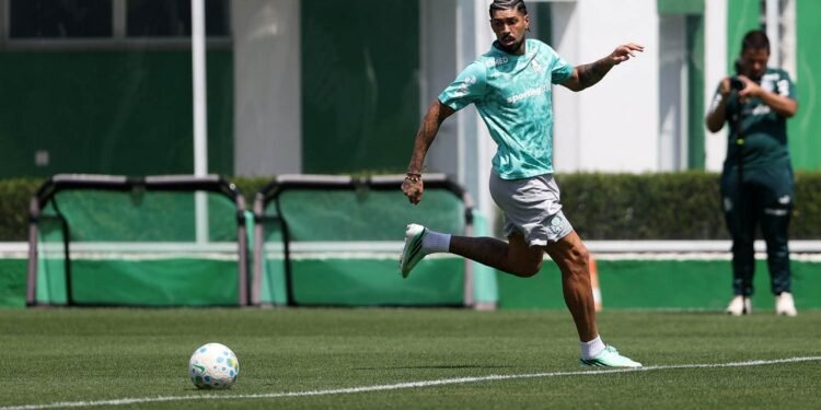 Palmeiras