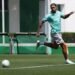 Palmeiras