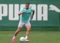 Palmeiras
