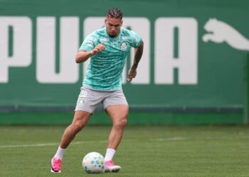 Palmeiras
