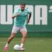 Palmeiras