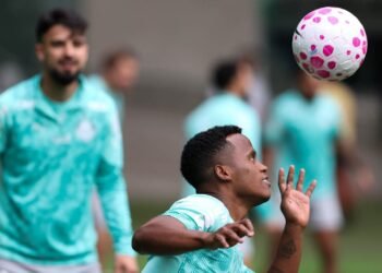 Palmeiras