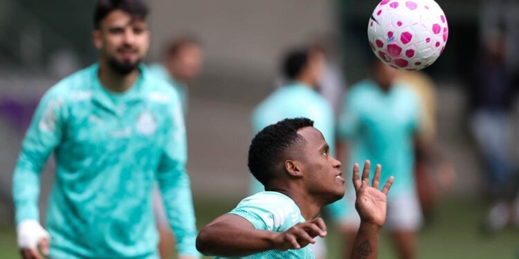 Palmeiras