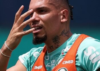 Palmeiras paulinho