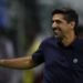abel ferreira palmeiras