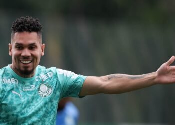 Palmeiras