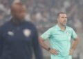 palmeiras