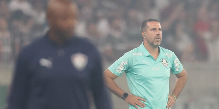 palmeiras