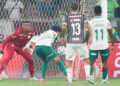 Palmeiras arias
